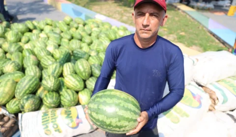 Programa Garantia Safra beneficia 397 agricultores familiares do AM em 2023