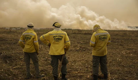 Servidores do ICMBio aderem à greve e paralisam atuação no campo