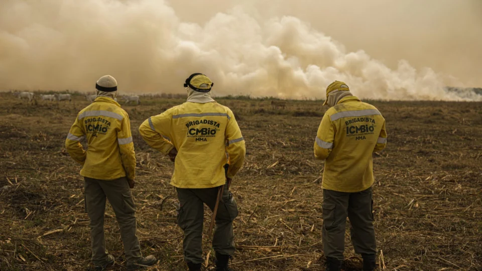 Servidores do ICMBio aderem à greve e paralisam atuação no campo