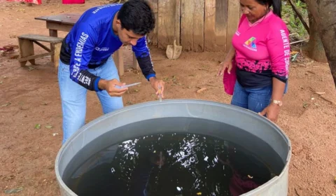 Arboviroses: 10 municípios de RR estão em alerta para doenças