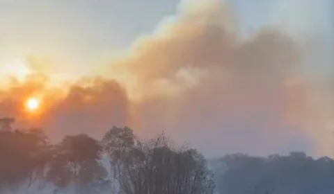 Incêndio atinge maior parque em área urbana do Nordeste