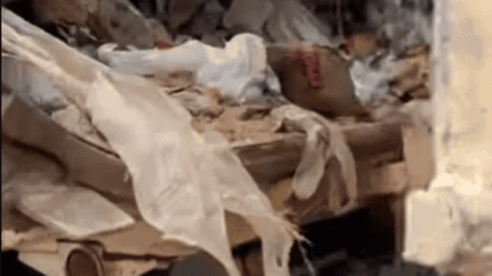 Caminhão com lixo hospitalar de RR é apreendido em Rio Preto da Eva-AM