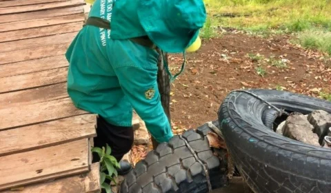 AM reforça vigilância para prevenção e controle de dengue, zika e chikungunya