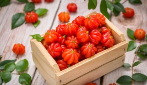 Pitanga pode ajudar na prevenção do câncer? Veja benefícios da fruta