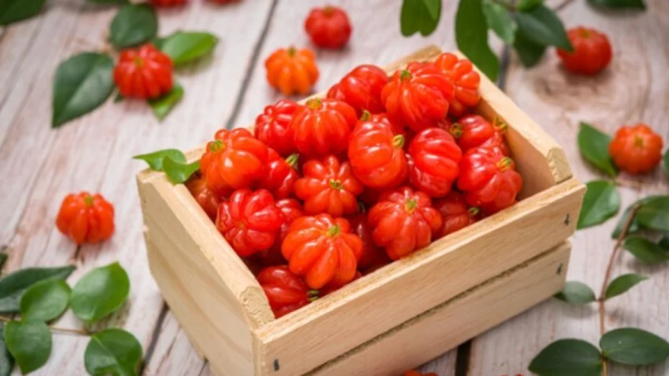 Pitanga pode ajudar na prevenção do câncer? Veja benefícios da fruta