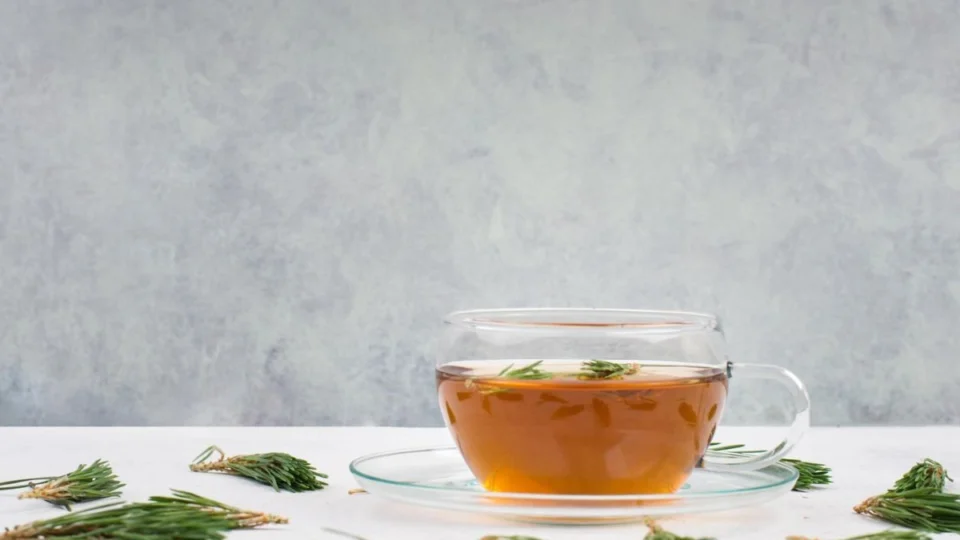 Alívio da cólica e da tosse: saiba tudo sobre chá de erva doce