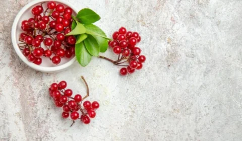 Cranberry ajuda a melhorar memória? Conheça benefícios da fruta