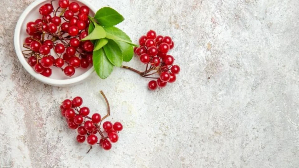 Cranberry ajuda a melhorar memória? Conheça benefícios da fruta