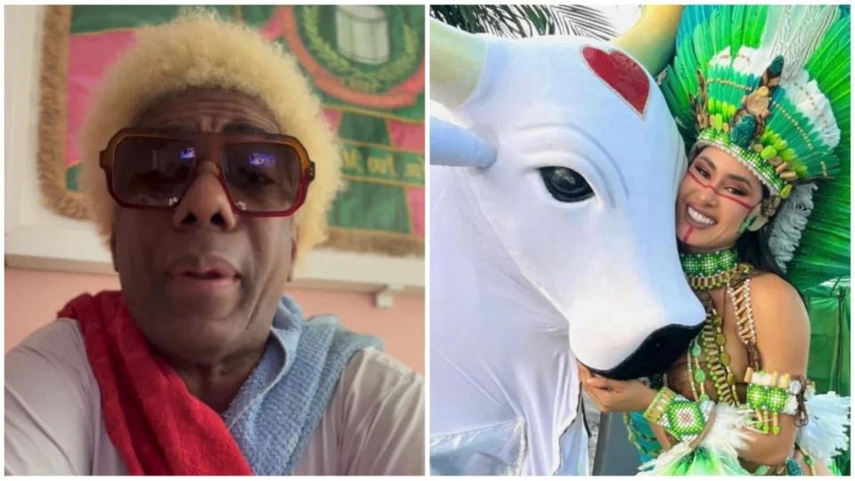 ‘Debochar do boi-bumbá é debochar do Brasil’, diz Ivo Meirelles