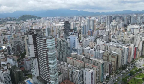 Saruês ‘invadem’ apartamento no Boqueirão, em Santos, no litoral paulista