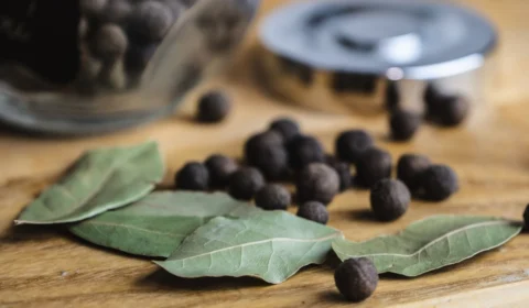 Chá de louro: para que serve? Veja benefícios