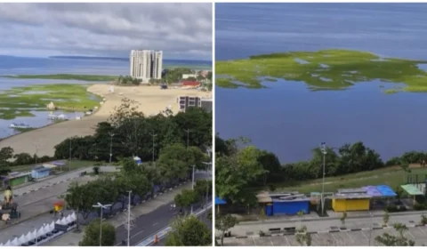 ‘Ilhas de capim’ chamam atenção na praia da Ponta Negra, em Manaus; entenda