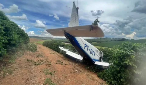 Avião de pequeno porte posa em cafezal em Minas Gerais