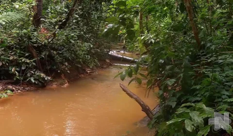 VÍDEO: projeto de monitoramento busca recuperar igarapés de Manaus