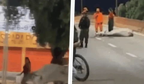 ‘Vaca Louca’: animal corre em avenida e ataca população em Boa Vista