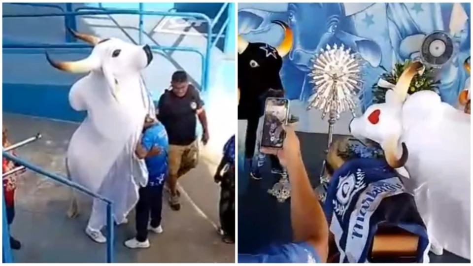 VÍDEO: Garantido vai ao curral do Caprichoso para dar adeus a Marquinhos Azevedo