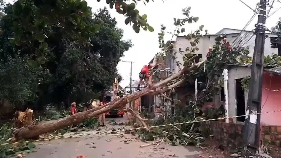 VÍDEO: durante forte ventania, árvore cai e atinge casa em Manaus