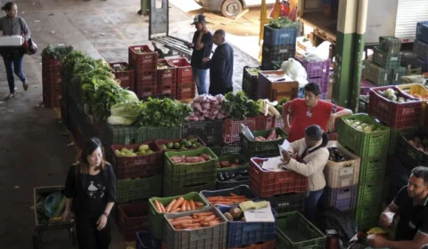 Cebola, tomate, mamão e melancia ficam mais baratos, aponta Conab