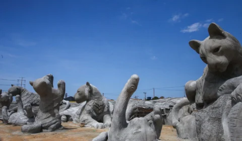 Previsão do tempo: confira o clima para esta quinta (22) em Manaus