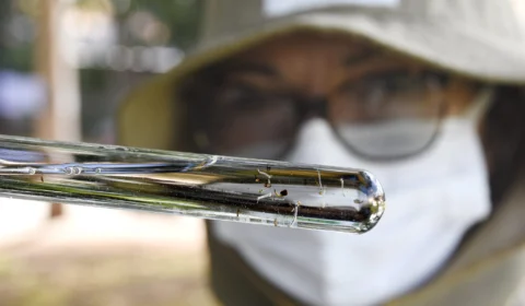 Região Norte registra 1 morte por dengue e mais de 17 mil casos em 2024