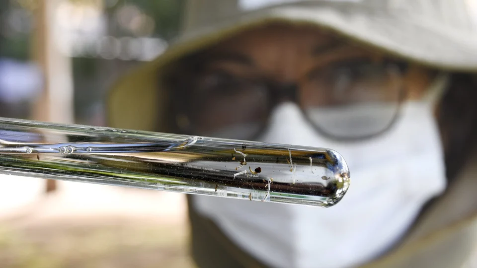 Região Norte registra 1 morte por dengue e mais de 17 mil casos em 2024