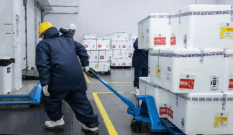 Dengue: AM está entre primeiros estados a receber 1º lote de vacinas