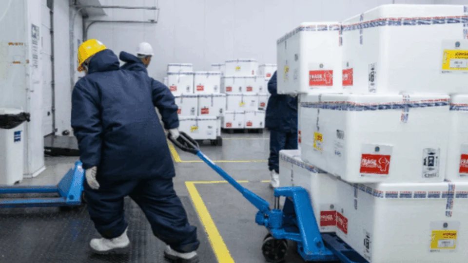 Dengue: AM está entre primeiros estados a receber 1º lote de vacinas