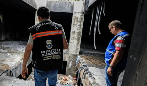 Dengue: Belo Horizonte decreta situação de emergência