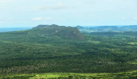 Multas ambientais: Pará tem ‘mutirão’ para pagamentos pendentes
