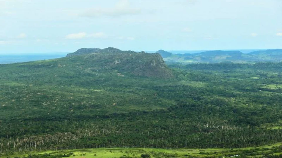 Multas ambientais: Pará tem ‘mutirão’ para pagamentos pendentes
