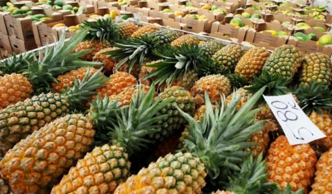 Na Aleam, deputado sugere títulos de frutas e árvore para cidades do AM; entenda