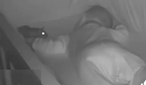 Vídeo de rato andando em berço de bebê enquanto ele dorme viraliza na web