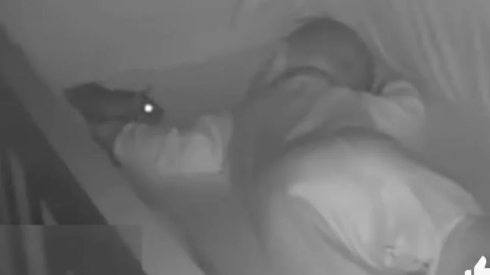Vídeo de rato andando em berço de bebê enquanto ele dorme viraliza na web