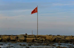 Um ano após o terremoto na Turquia, muitos ainda procuram entes queridos