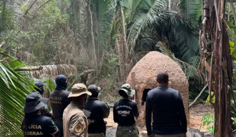 Operação Jacaúna combate crimes ambientais em RO; veja