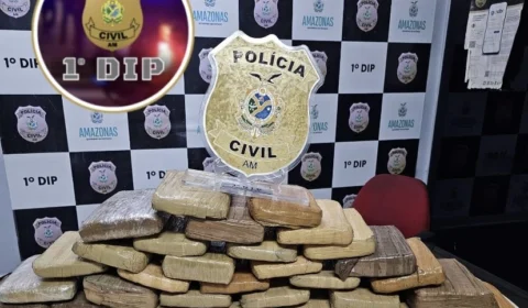PC-AM apreende 30 quilos de skunk avaliados em R$ 200 mil