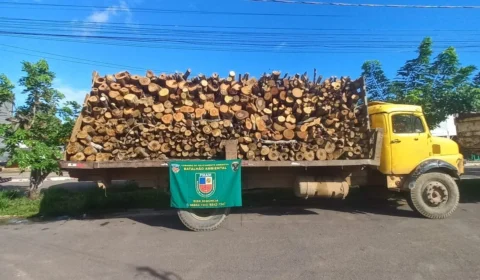 Crime ambiental: BPAmb apreende madeira e serralheria ilegal no AM