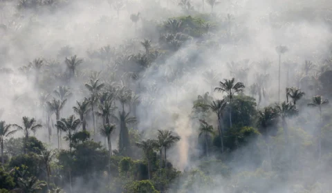 Queimadas no AM tem aumento de 128% no início de 2024 ante 2023