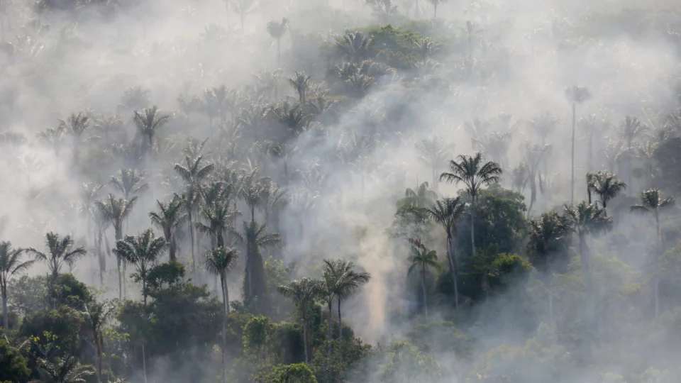 Queimadas no AM tem aumento de 128% no início de 2024 ante 2023