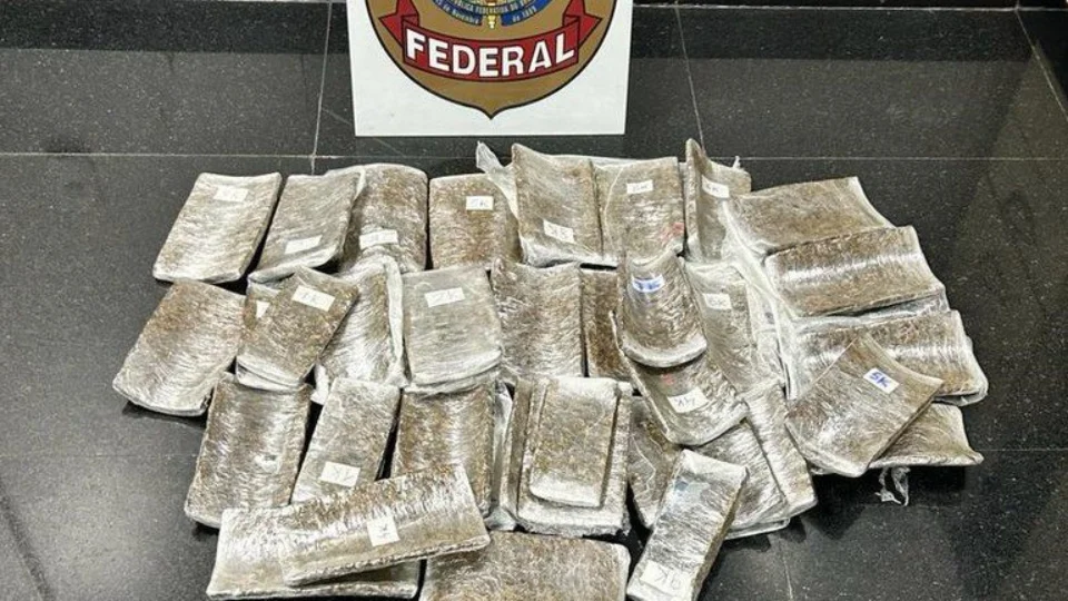 Suspeitos são presos com droga que iria para Brasília no Aeroporto de Manaus