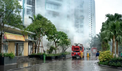 VÍDEO: incêndio de grandes proporções destrói galpão no Porto de Santos