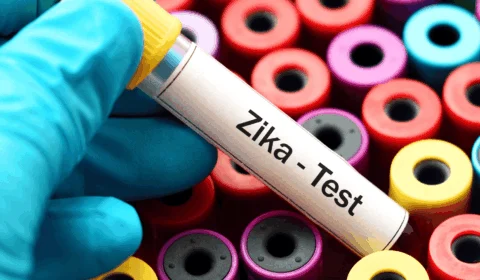 Chinkungunya e Zika: Norte tem 905 casos e 1 morte em investigação