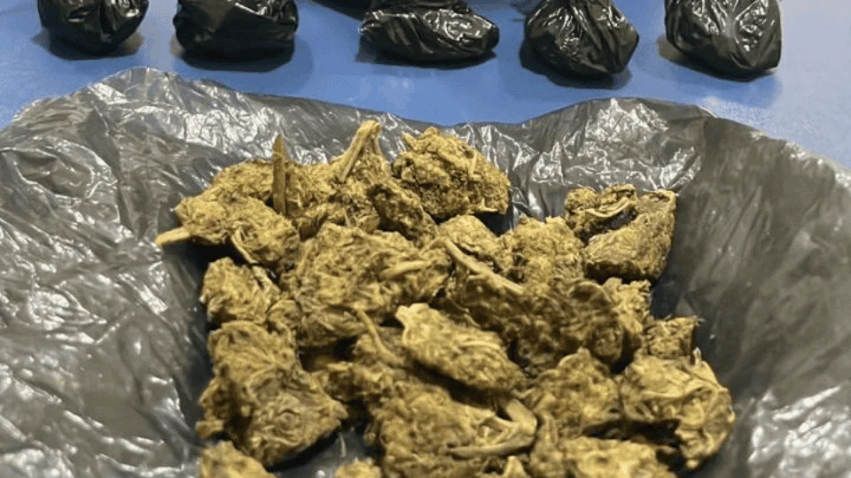 Jovem de 22 anos é preso com Skank em Boa Vista