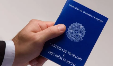 Taxa de desocupação cai no Tocantins em 2023, revelam dados do IBGE