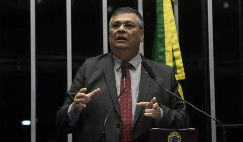 Em discurso no plenário do Senado, Dino defende o STF