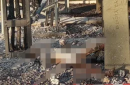 VÍDEO: homem morre ao tentar furtar fio de energia e cena é triste