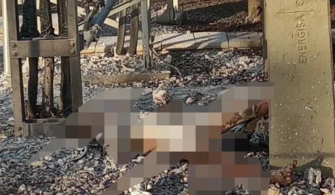 VÍDEO: homem morre ao tentar furtar fio de energia e cena é triste