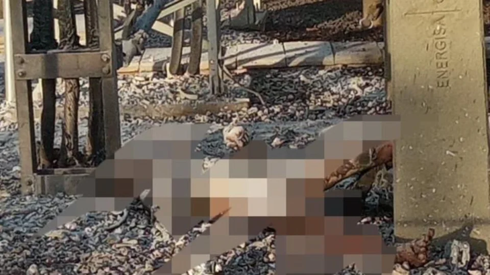 VÍDEO: homem morre ao tentar furtar fio de energia e cena é triste