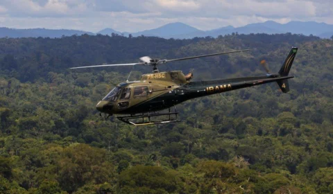 Amazônia: vídeos  antigos de desmatamento circulam como atuais