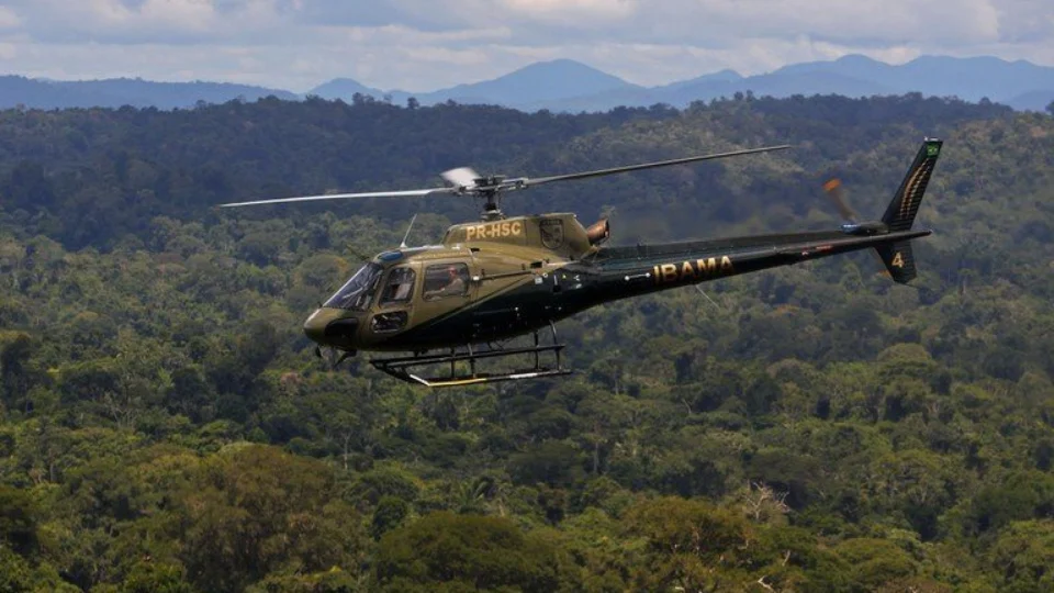 Amazônia: vídeos  antigos de desmatamento circulam como atuais